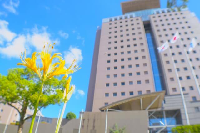 米丸剛の経歴について